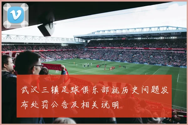 武汉三镇足球俱乐部就历史问题发布处罚公告及相关说明